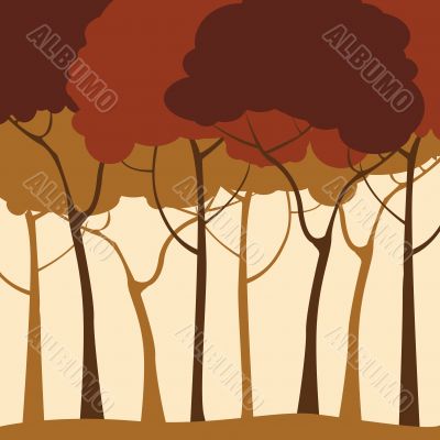 Forest background 