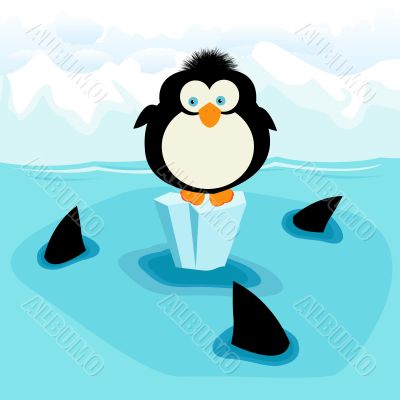 Penguin