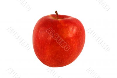 Isolated red apple on white