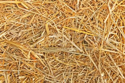 The texture of straw 