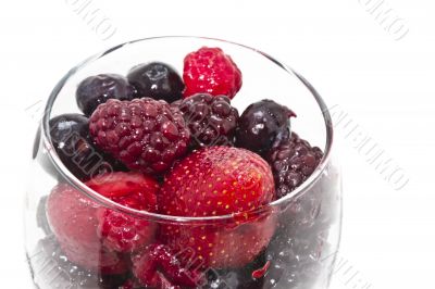 Berry fruits