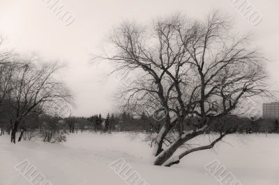 Dark cold winter day