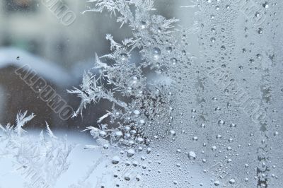 Ice crystals on a glass window
