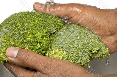 Washing broccoli