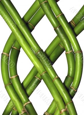 Braided Bamboo