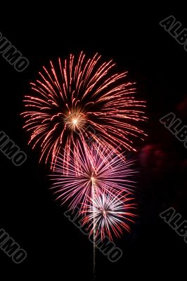 Colorful fireworks against a black sky