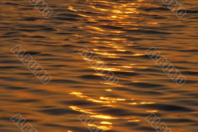 warm water