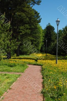 In The Park