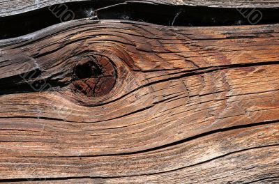 Woody Texture