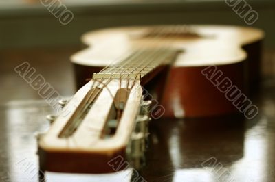 acoustic guitar