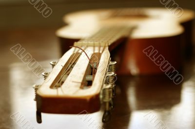 acoustic guitar