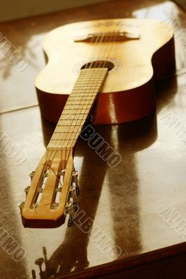 acoustic guitar