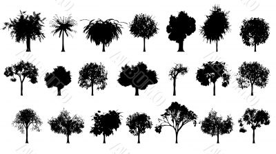 set of trees