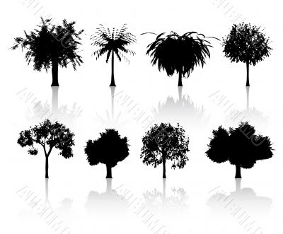 set of trees