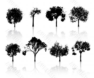 set of trees