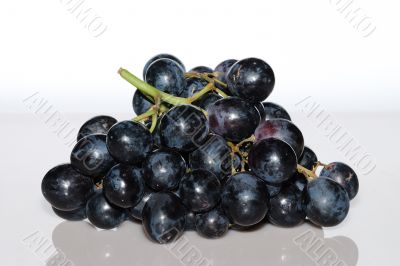 blue grapes from the front