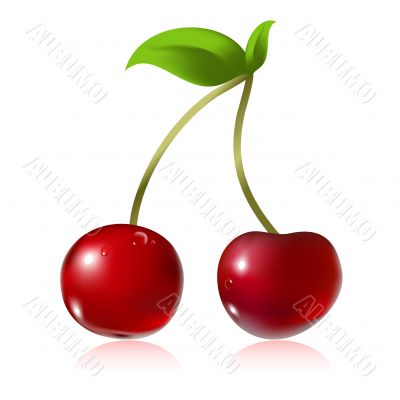 cherry