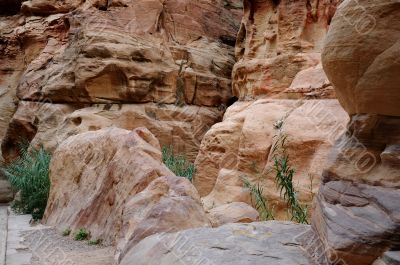 In Siq Canyon at Petra