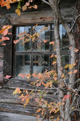 Window of the Old House