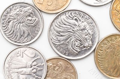 Coins of Ethiopian Currency