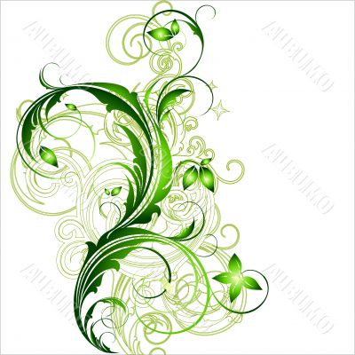 floral frame