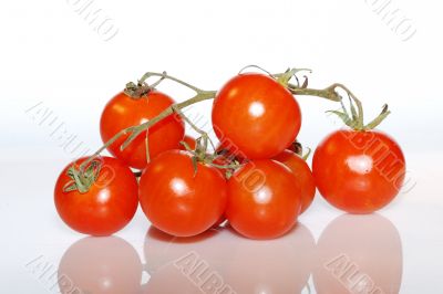 close up tomato