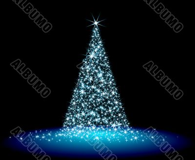  christmas fir