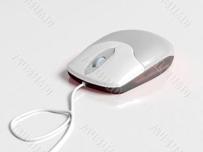 Mouse in white background