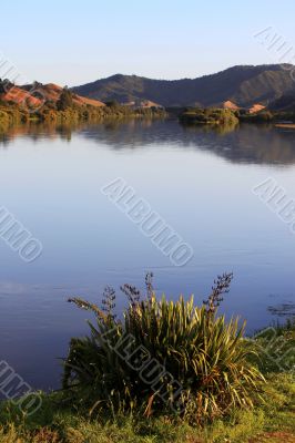 Coast of lake 