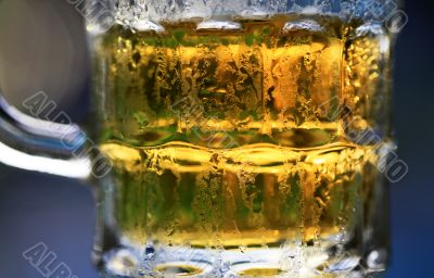 Fresh cold beer 