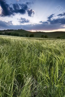 Sunset in Corsanello - Tuscany