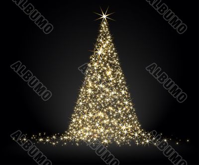  christmas fir