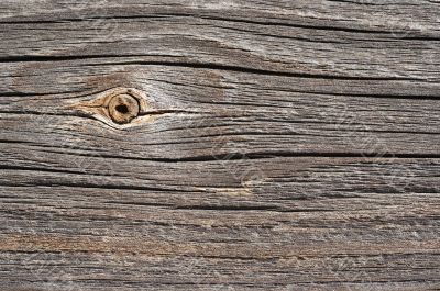 nob - wood texture