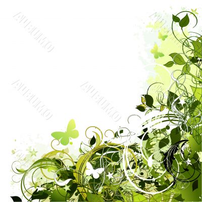  floral frame