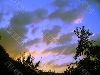 Sunset through the trees