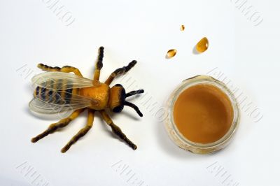 Bee and honey