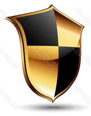 shield icon