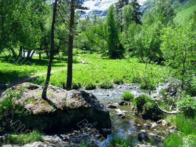 Green meadow in the forest and sky reflection