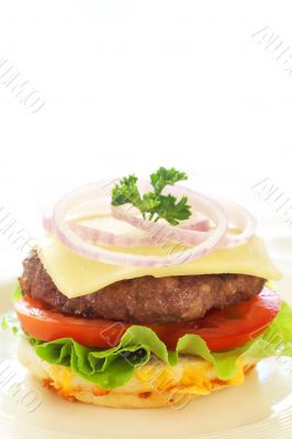 Tasty hamburger