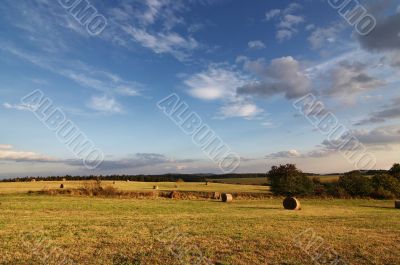 fields and meadows