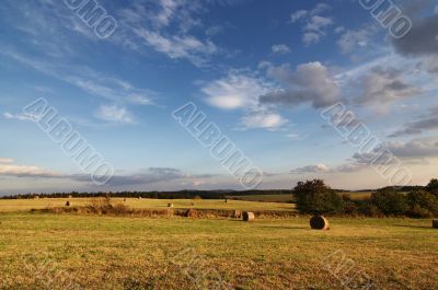 fields and meadows