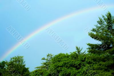 Rainbow with blue skies and trees
