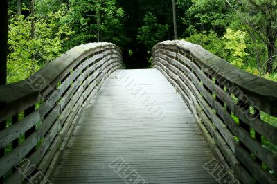 Wooden bridge through the forest