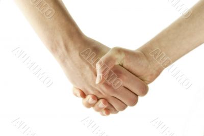 Women shaking hands