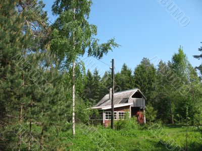 Cottage in the country. Summer. Karelian isthmus