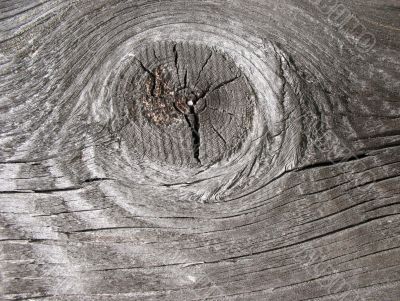  Texture of old boards. Gray background.