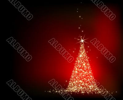  christmas fir background