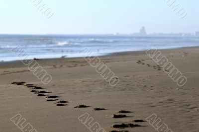beach footsteps