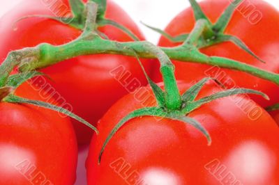 appetizing tomatoes