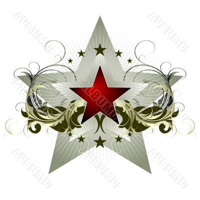  star with ornate elements